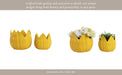 s-2-9-12-petal-planters-yellow-11