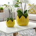 s-2-9-12-petal-planters-yellow-9