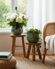 s-2-9-12-round-wavy-edge-planters-sage-green-11