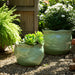 s-2-9-12-round-wavy-edge-planters-sage-green-12