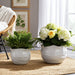 s-2-9-12-round-wavy-edge-planters-white-10