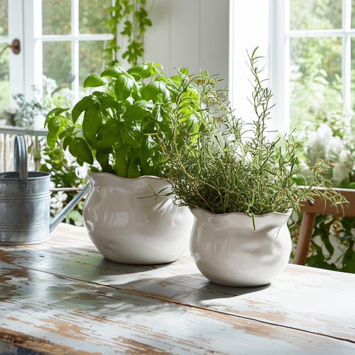 s-2-9-12-round-wavy-edge-planters-white-11