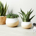 s-2-9-12-textured-half-dipped-planters-wht-tan-9