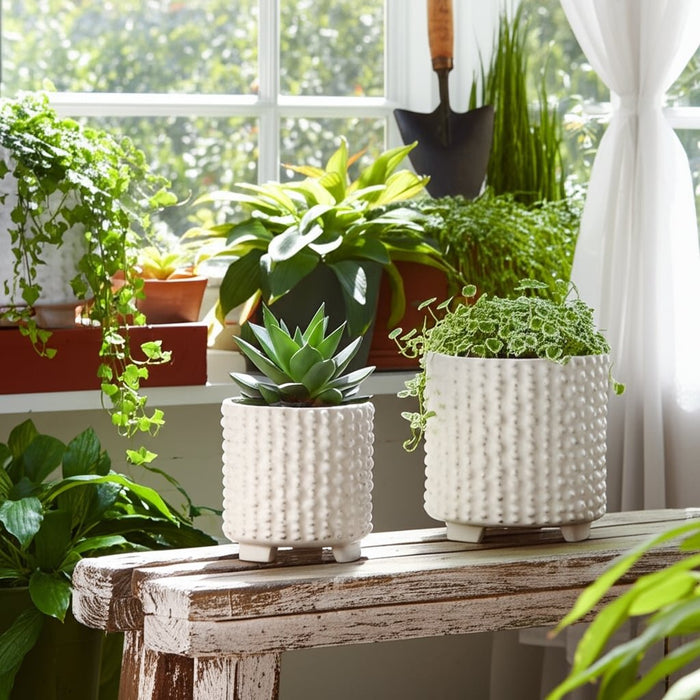 s-2-ceramic-6-8-footed-planters-w-dots-white-7