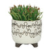 s-2-ceramic-6-8-scribble-footed-planter-beige-2
