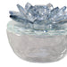 s-2-glass-trinket-box-clear-w-lt-blue-lotus-top-6