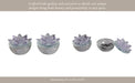 s-2-glass-trinket-box-clear-w-purple-lotus-top-8
