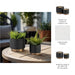 s-2-mesh-metallic-planters-6-8-black-4