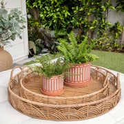 s-2-terracotta-planters-w-saucer-6-8-orange-3