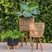 s-2-wicker-footed-planters-10-12-natural-8