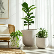 s-3-10-12-16-cement-texture-resin-planters-ivory-11