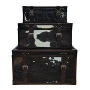 s-3-19-23-27-hair-on-hide-cow-print-trunks-multi-1