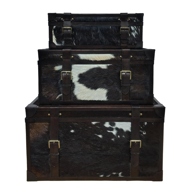 s-3-19-23-27-hair-on-hide-cow-print-trunks-multi-1