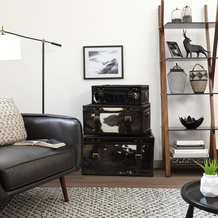 s-3-19-23-27-hair-on-hide-cow-print-trunks-multi-12