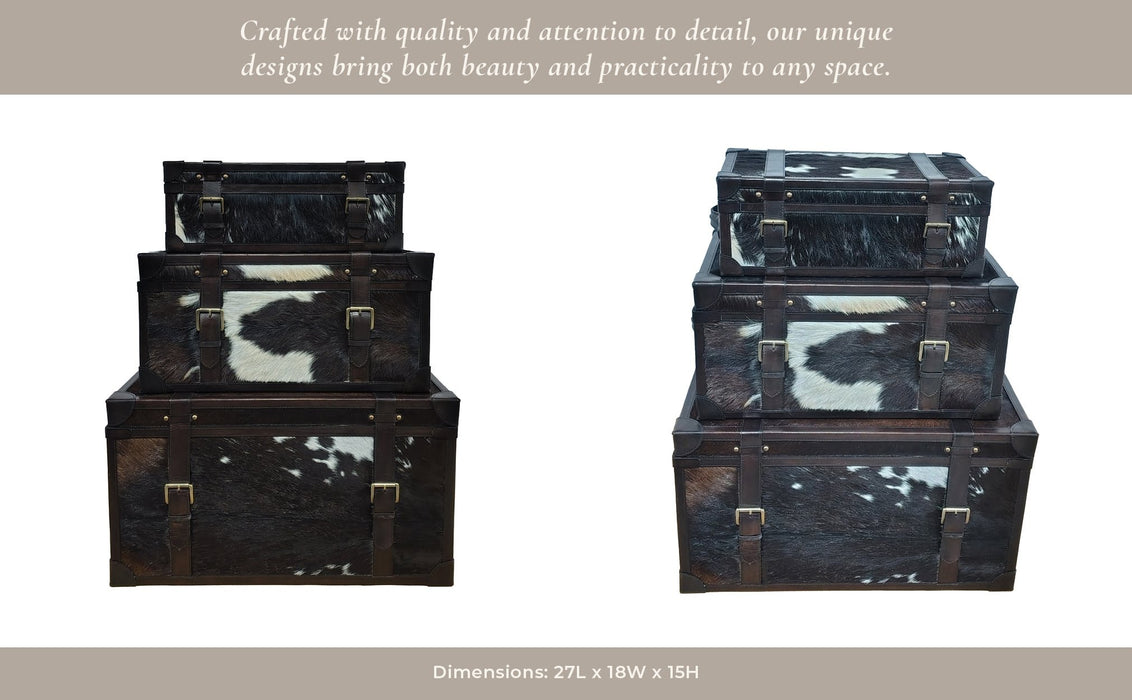 s-3-19-23-27-hair-on-hide-cow-print-trunks-multi-13