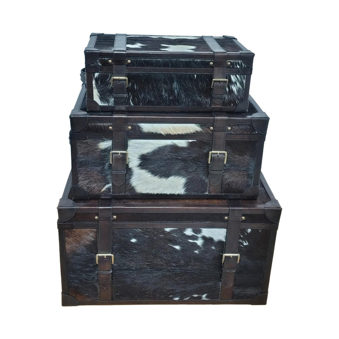 s-3-19-23-27-hair-on-hide-cow-print-trunks-multi-2