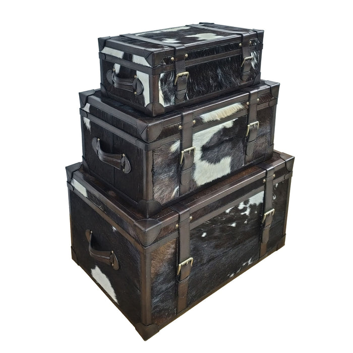 s-3-19-23-27-hair-on-hide-cow-print-trunks-multi-3