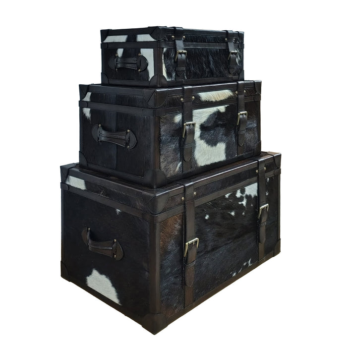 s-3-19-23-27-hair-on-hide-cow-print-trunks-multi-7