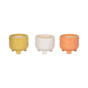 s-3-5-big-dot-footed-planter-citro-candle-16oz-2