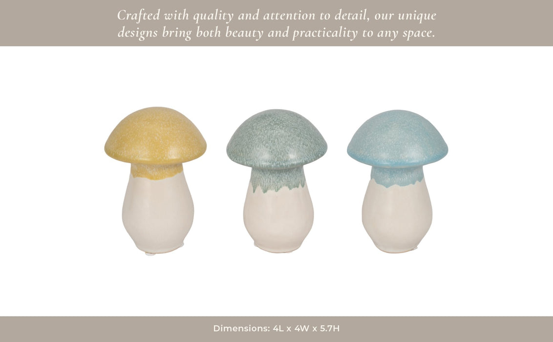 s-3-5-colorful-top-mushrooms-multi-12