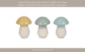 s-3-5-colorful-top-mushrooms-multi-12