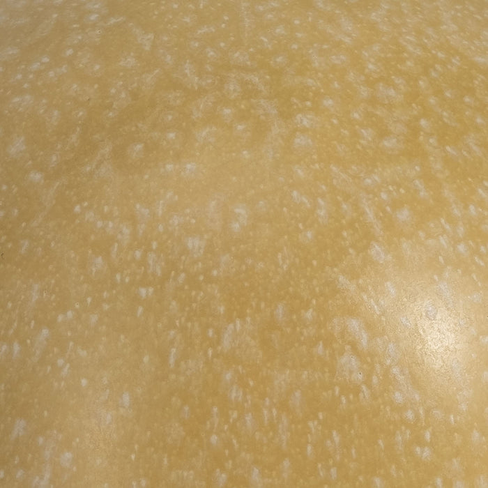 s-3-5-colorful-top-mushrooms-multi-4