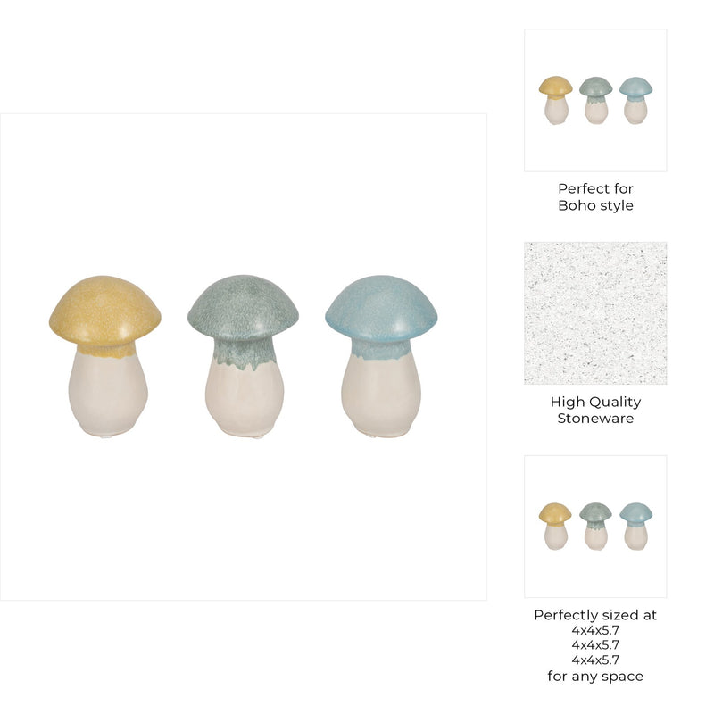 s-3-5-colorful-top-mushrooms-multi-9