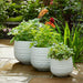 s-3-6-9-11-ribbed-planters-white-10