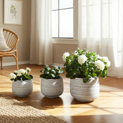 s-3-6-9-11-ribbed-planters-white-11