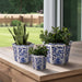 s-3-8-10-12-chinoiserie-bird-planters-blue-white-8