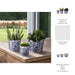 s-3-8-10-12-chinoiserie-dahlia-planters-blue-whi-7