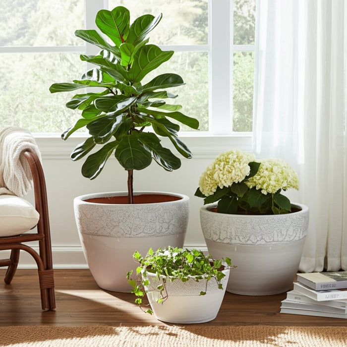 s-3-8-11-15-lava-glazed-ombre-planters-ivory-11