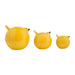 s-3-8-birds-yellow-3