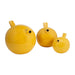 s-3-8-birds-yellow-5