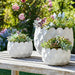 s-3-9-12-15-cloudy-petal-planters-white-10