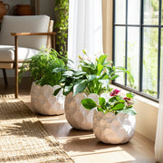 s-3-9-12-15-cloudy-petal-planters-white-9