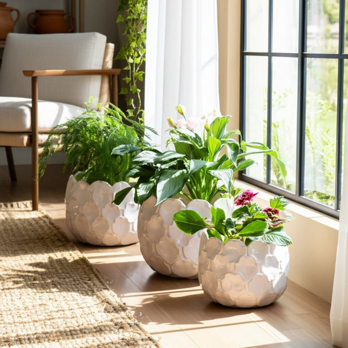 s-3-9-12-15-cloudy-petal-planters-white-9