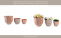 s-3-9-12-15-terracotta-petal-planters-natural-12