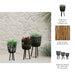 s-3-bamboo-footed-planters-11-13-15-black-6