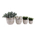 s-4-6-8-10-12-reactive-luster-planters-ivory-2