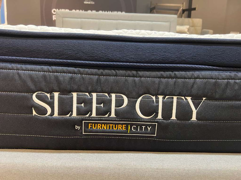 ECCO 13" Pillow Top Mattress - Furniture City (CA)l