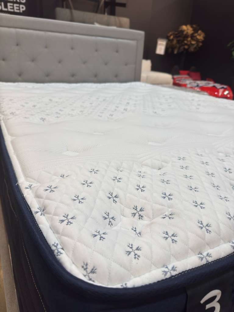 ECCO 13" Pillow Top Mattress - Furniture City (CA)l