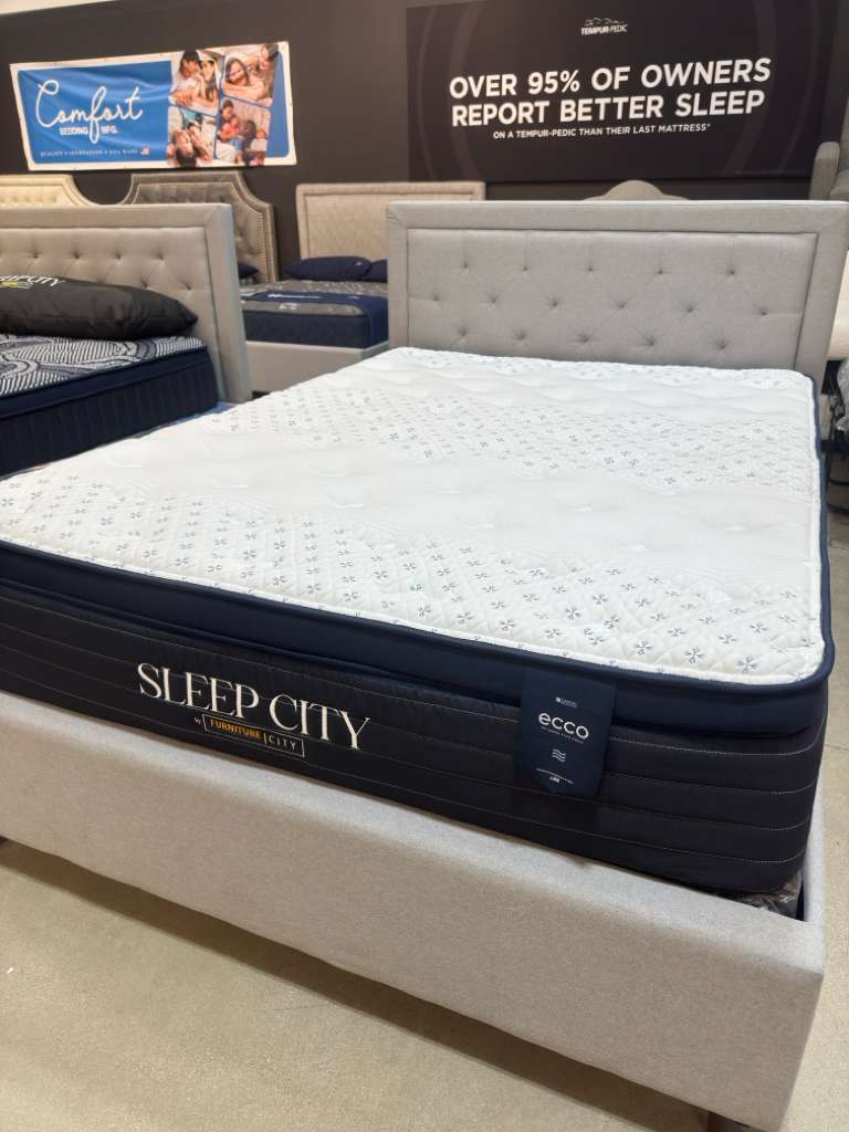 ECCO 13" Pillow Top Mattress - Furniture City (CA)l