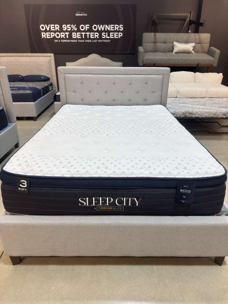 ECCO 13" Pillow Top Mattress - Furniture City (CA)l