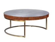 tamas-aluminum-cocoa-top-grain-leather-coffee-table-1
