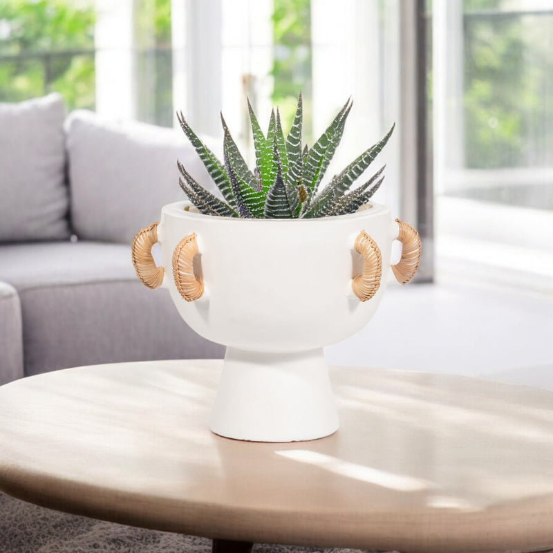 terracotta-9-h-eared-bowl-on-stand-vase-white-9