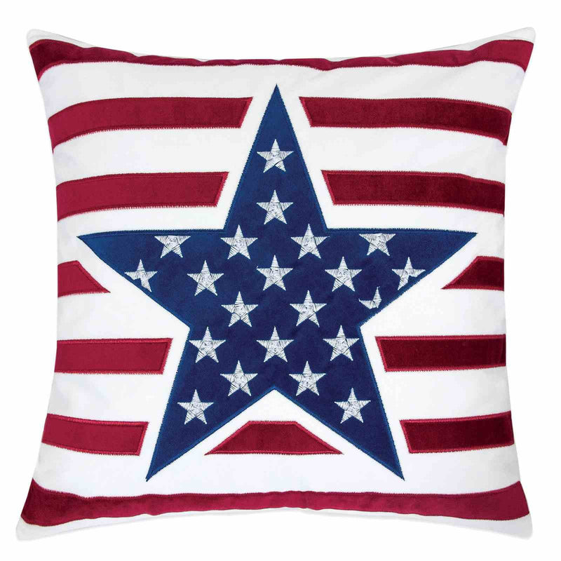 texis-20-x-20-pillow-2-ctn-1