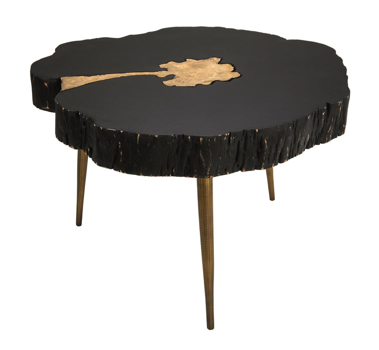 timber-black-and-brass-coffee-table-1