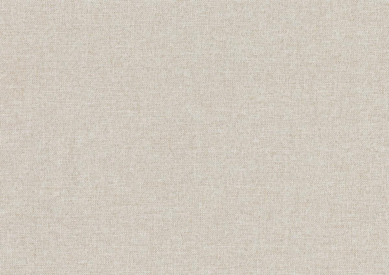 trudy-beige-daybed-with-trundle-5