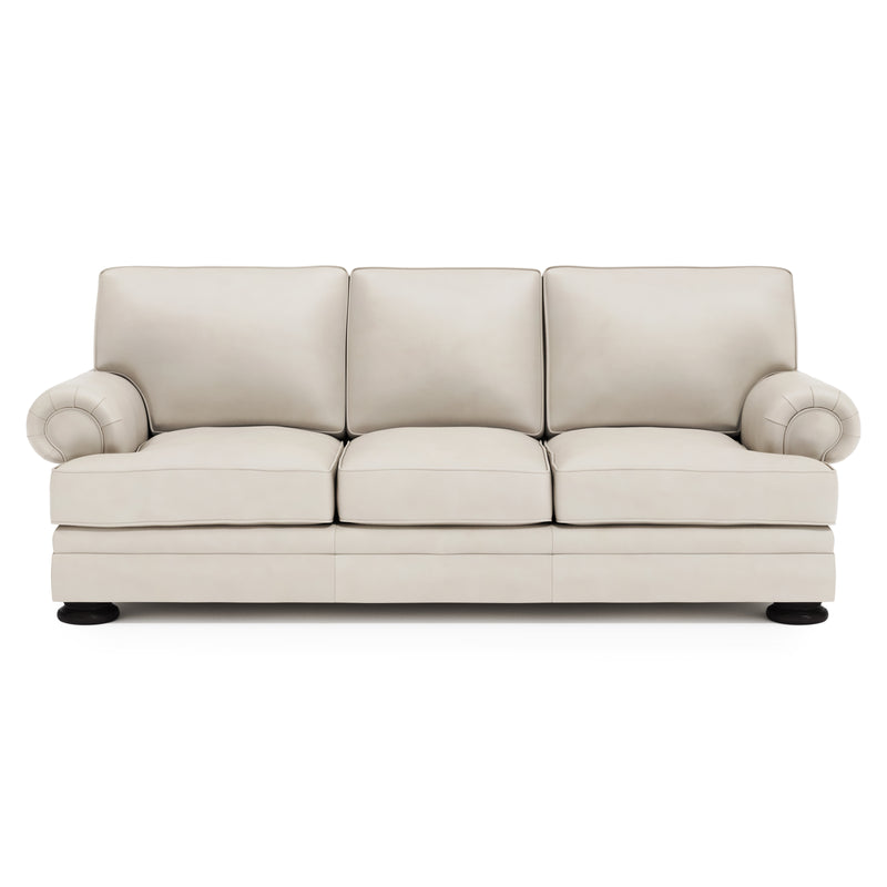 Foster Leather Sofa - Furniture City (CA)l